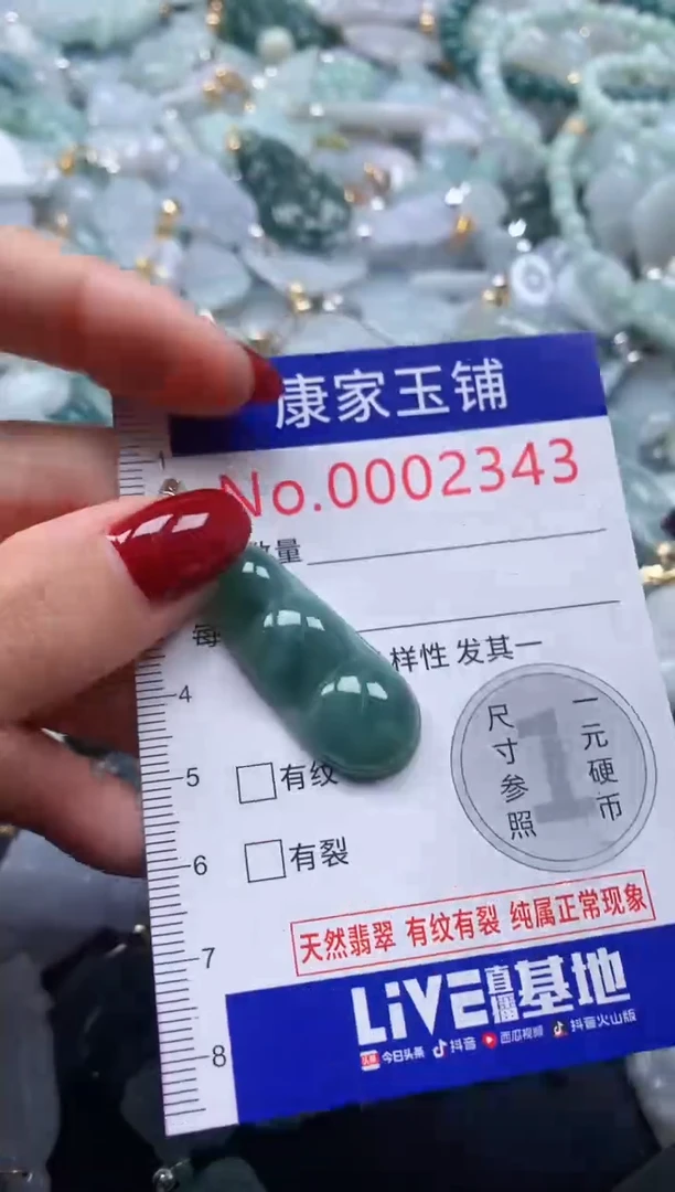 颈饰未镶嵌翡翠2343