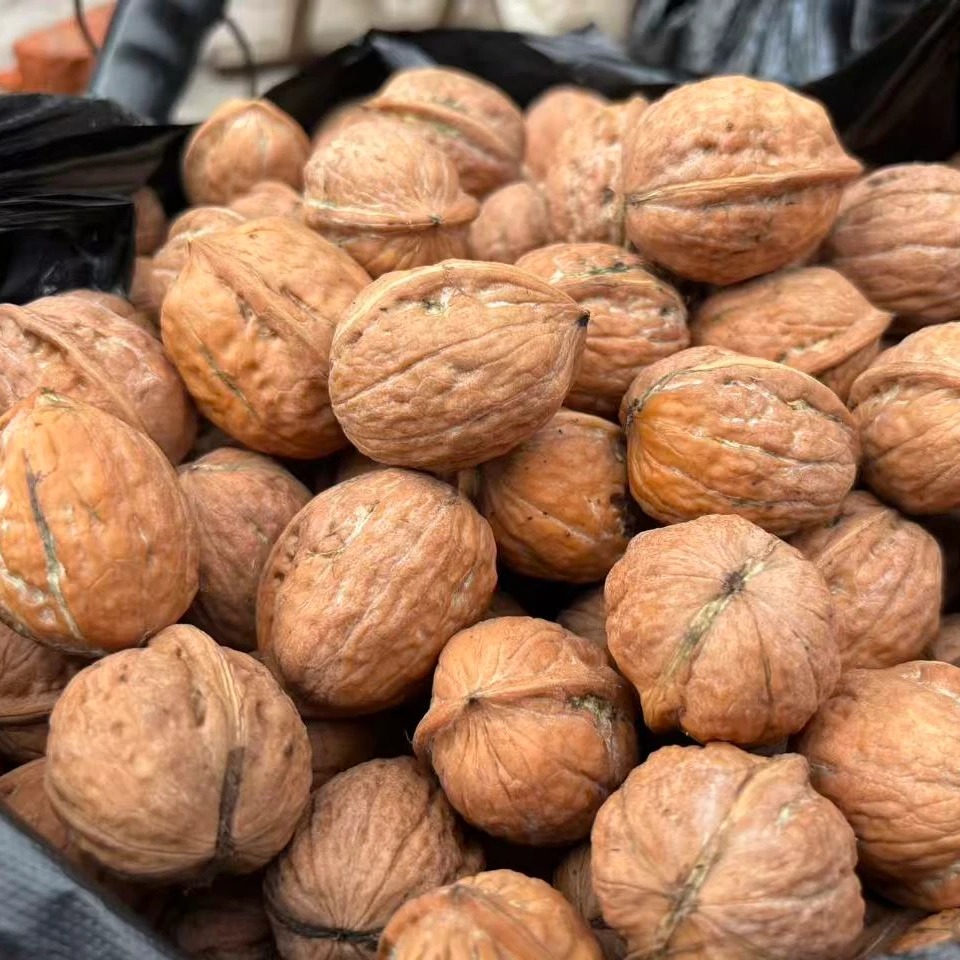 新鲜湿核桃去青皮孕妇零食生核桃脆壳坚果