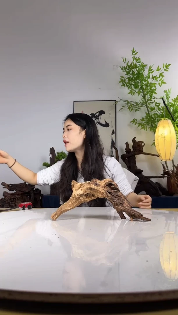 顾**哩拍这个定向编号25