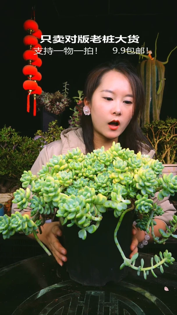 新货香水劳尔量拍