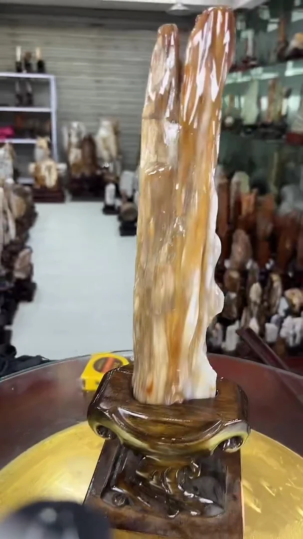 硅化玉珠宝奇石未镶嵌缅甸天然树化玉