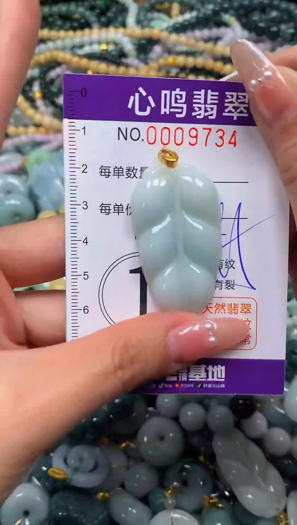 颈饰未镶嵌翡翠闪购009734