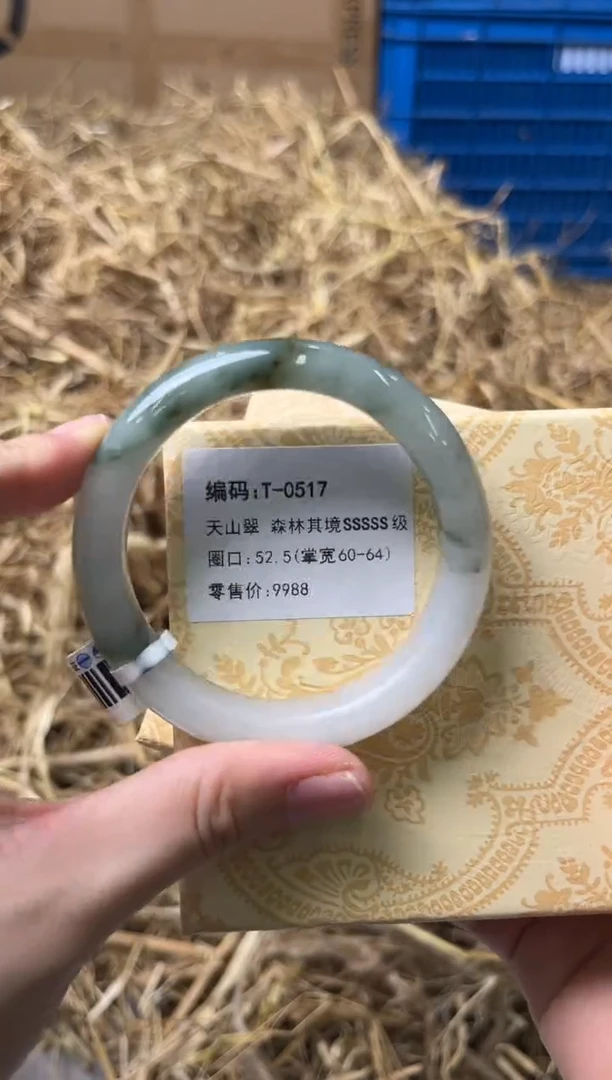 未镶嵌手镯石英质玉T-0517