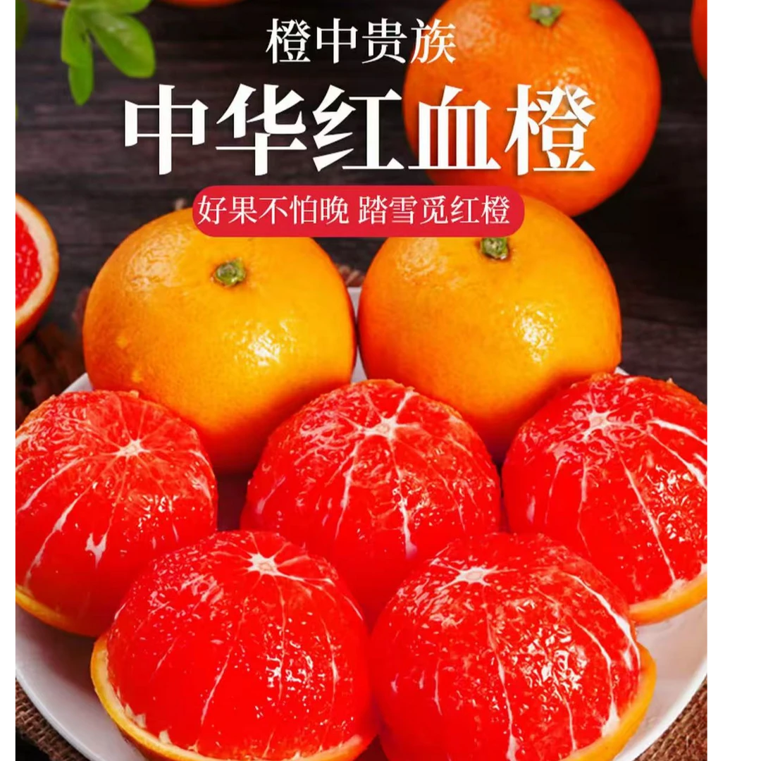 秭归江边 中华红血橙 新鲜水果 当季整箱红心橙子