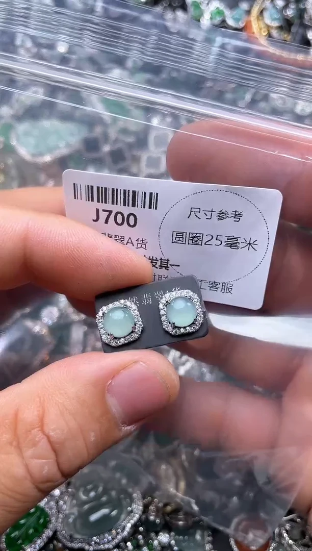 【闪购商品】翡翠颈饰未镶嵌J700耳钉