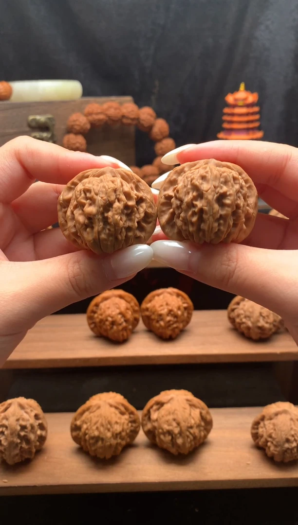 核桃五号链接39尺全品无修无药红皮山地四座楼