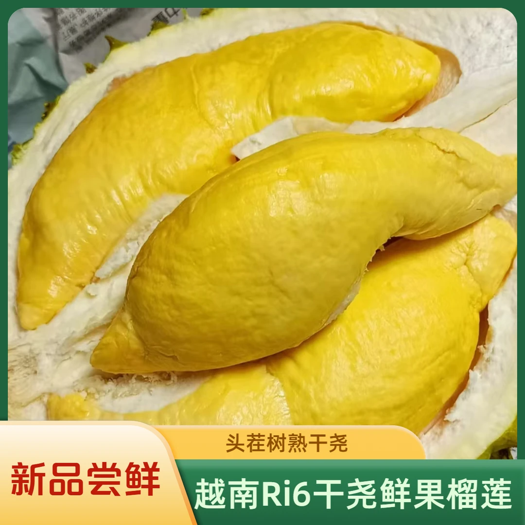【越南Ri6干尧榴莲】树熟干尧榴莲，2025年头茬树熟干尧榴莲