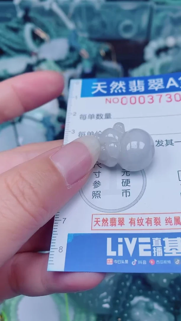 颈饰未镶嵌翡翠00003730
