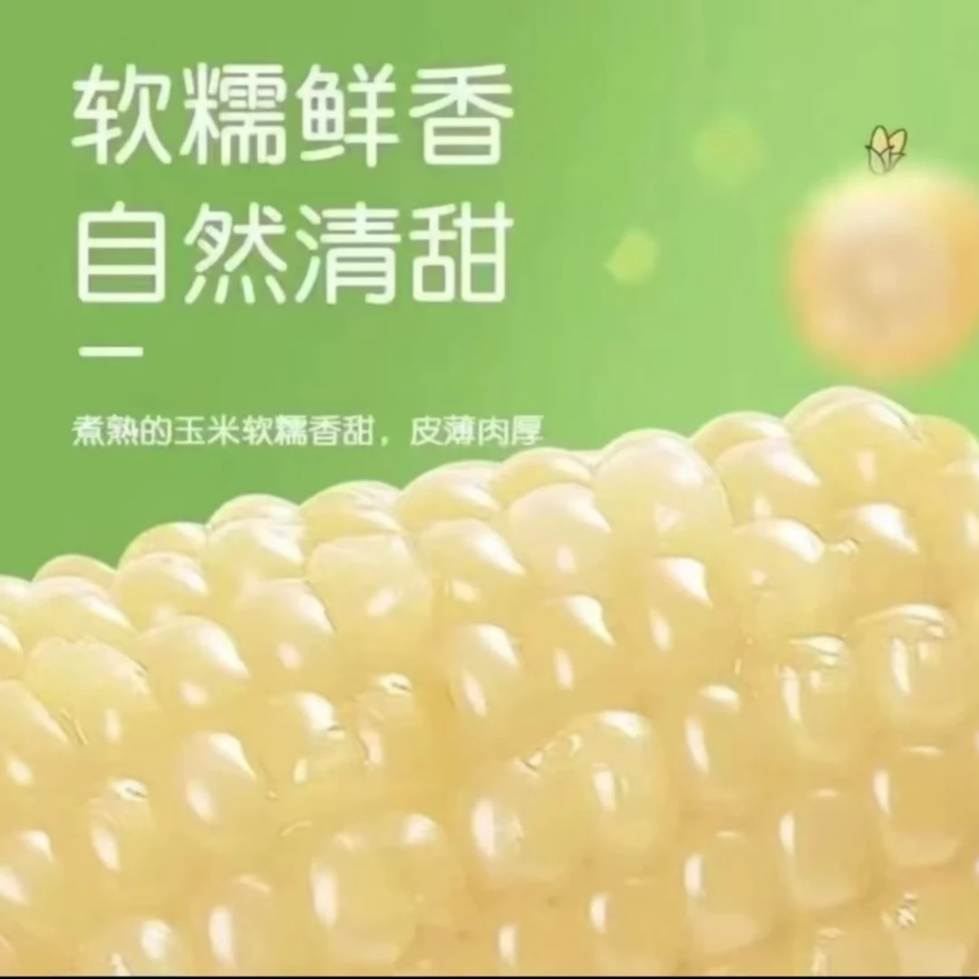 （试吃两根）新鲜农家白糯玉米到手12根软糯香甜5-6斤