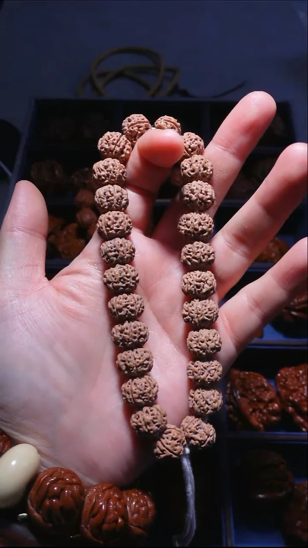 手串金刚菩提15左右凹底梅花金刚