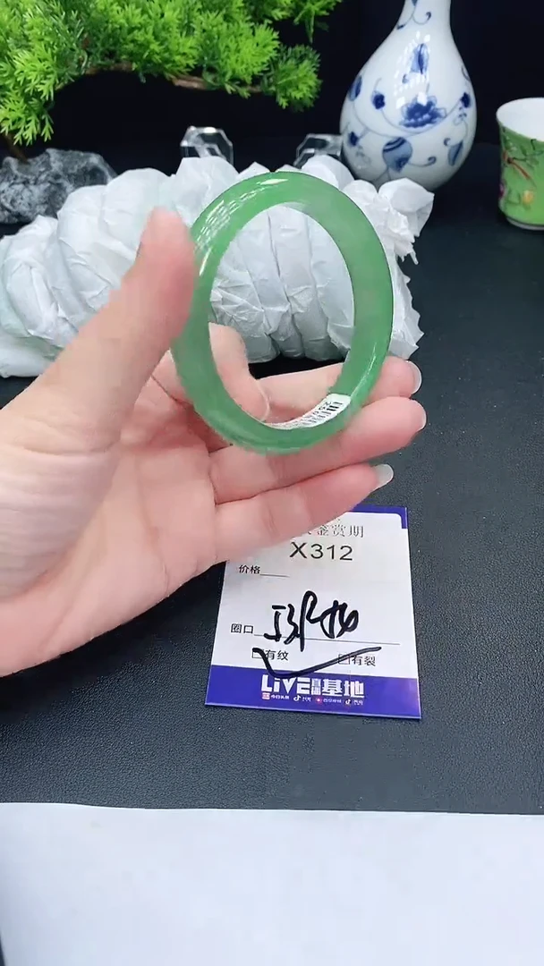 未镶嵌手镯翡翠312