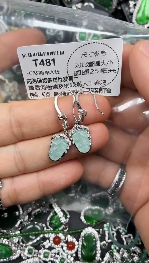 颈饰未镶嵌翡翠T481耳钩