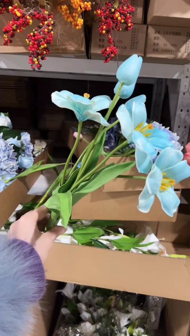 3枝蓝色2头布朗尼