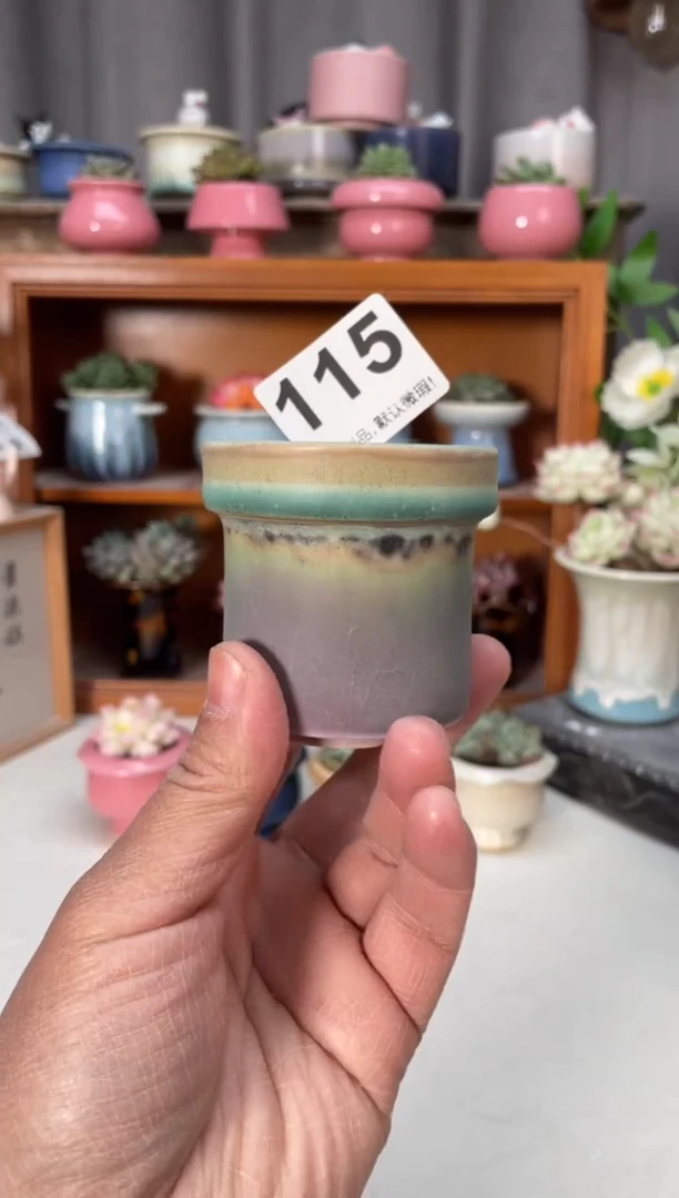 瓷片115小芳直播编号
