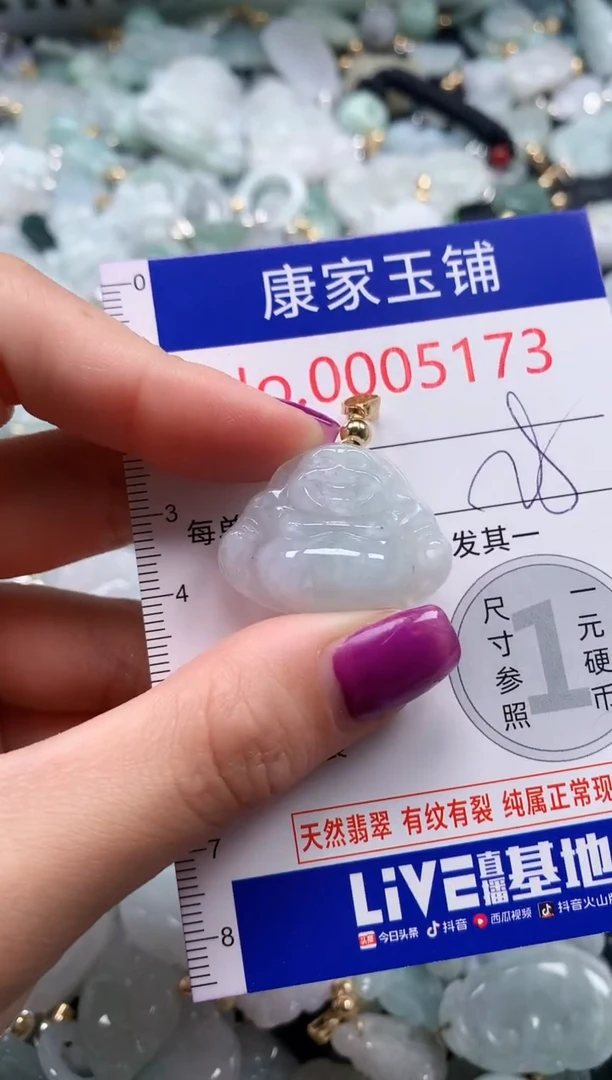 颈饰未镶嵌翡翠5173