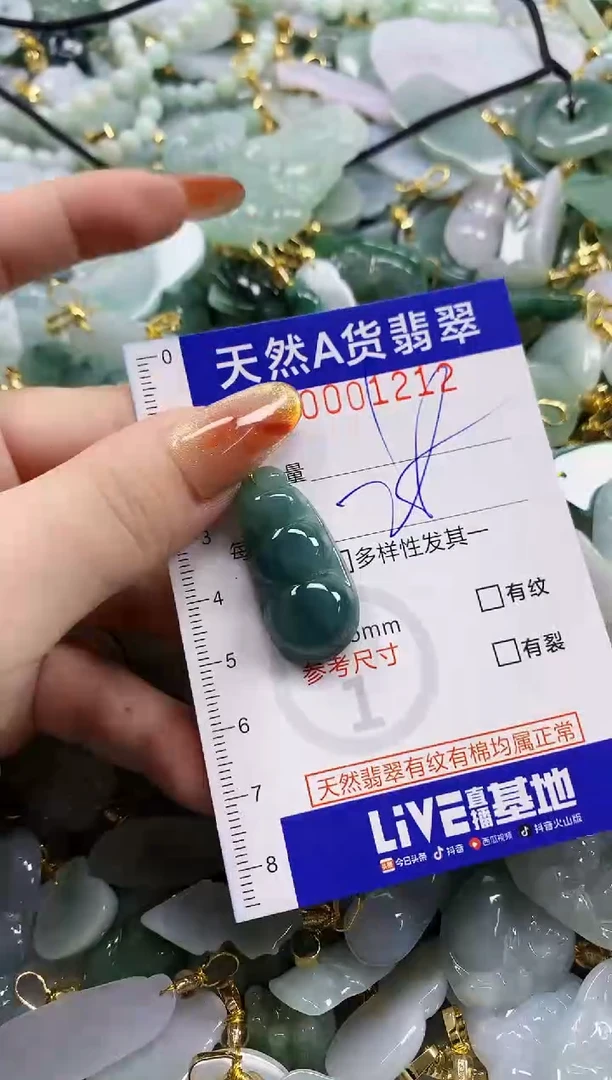 颈饰未镶嵌翡翠天然A货翡翠
