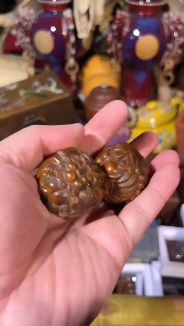 黄杨木1111111111111111