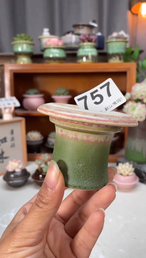 瓷片757小芳花盆直播编号