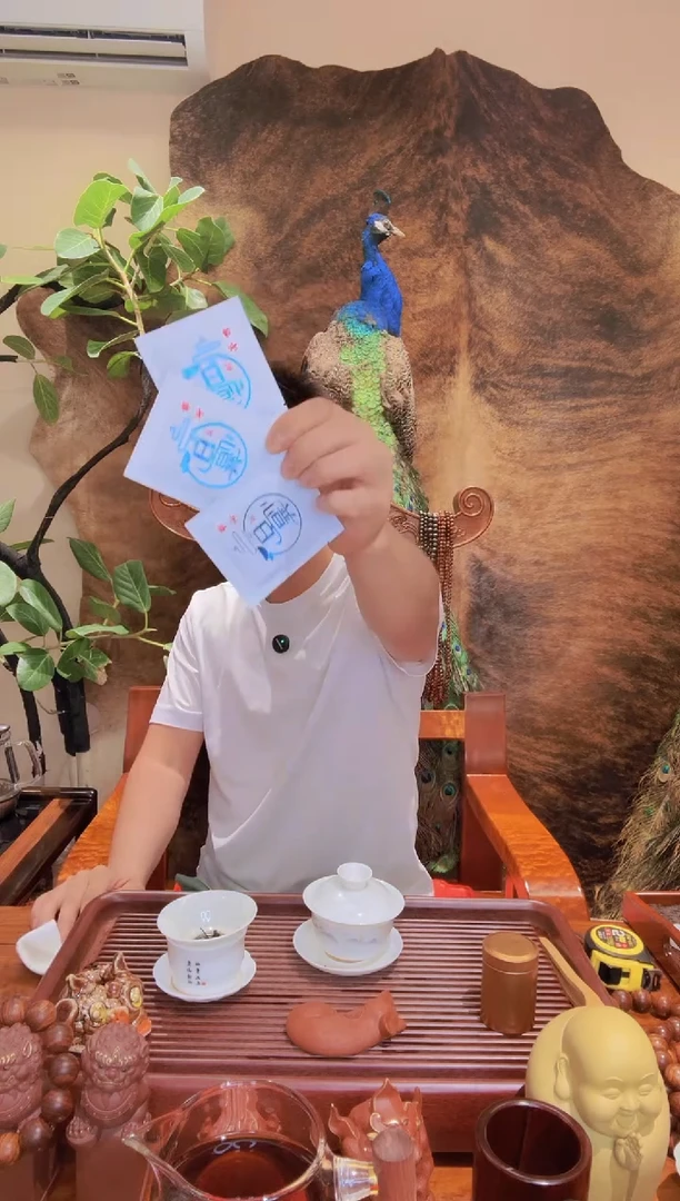 普小白普洱生茶（10泡）