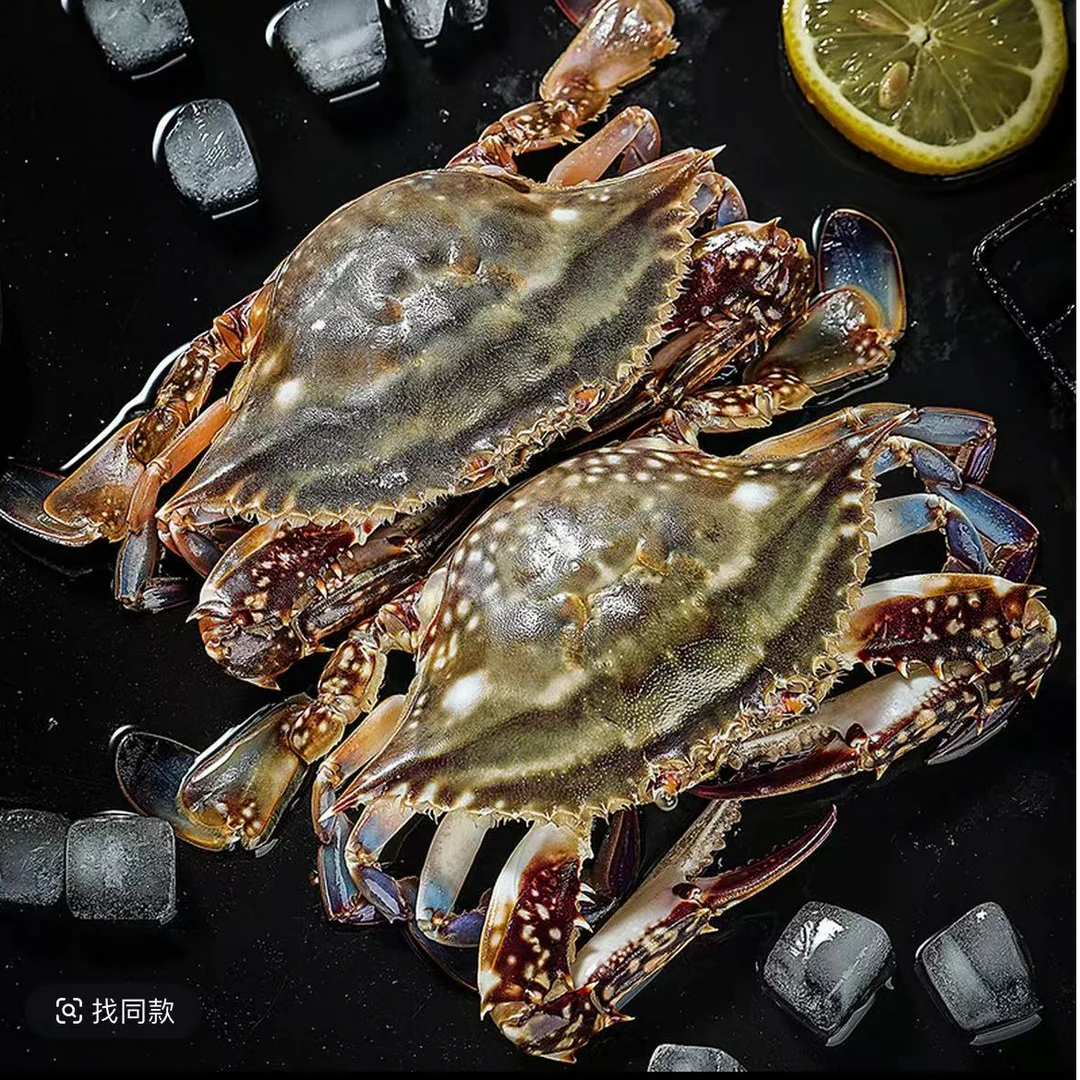 【冻蟹】山东海捕梭子蟹母带膏6-8两/只到手去绳重2.7斤左右3-5只
