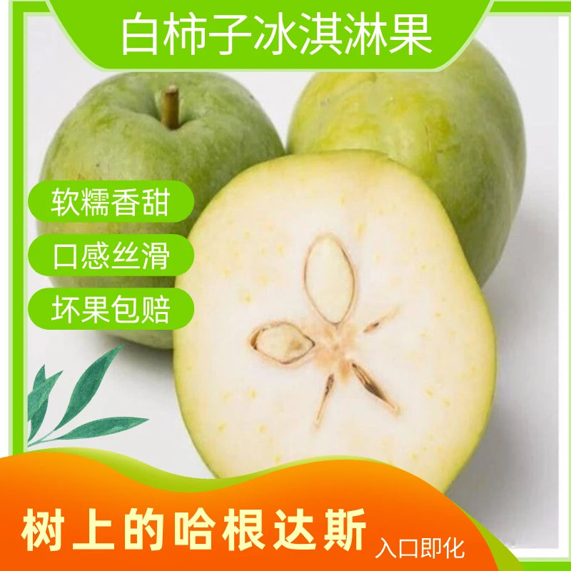 云南新鲜采摘冰淇淋果顺丰包邮高端新奇水果热带应季水果