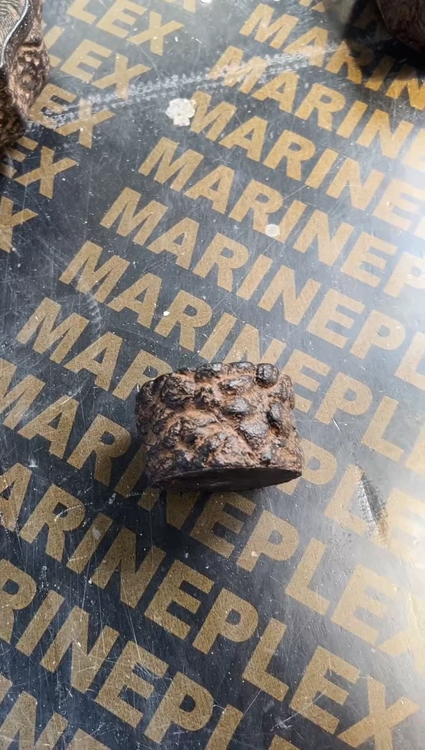 陶土丨小树桩盆