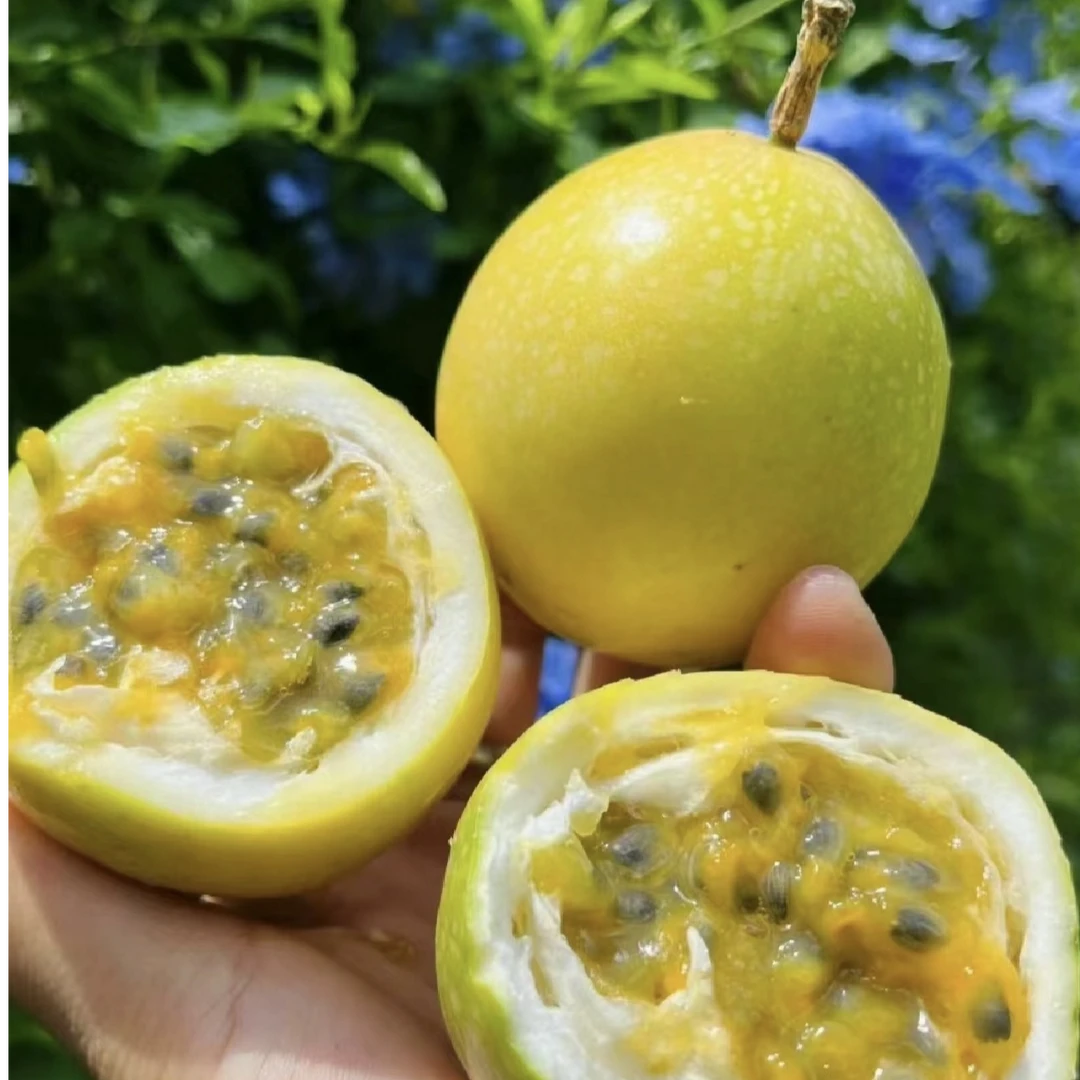 黄金百香果钦蜜9号鲜甜口感饱满多汁当季水果坏果包赔新鲜黄金百香果海南省