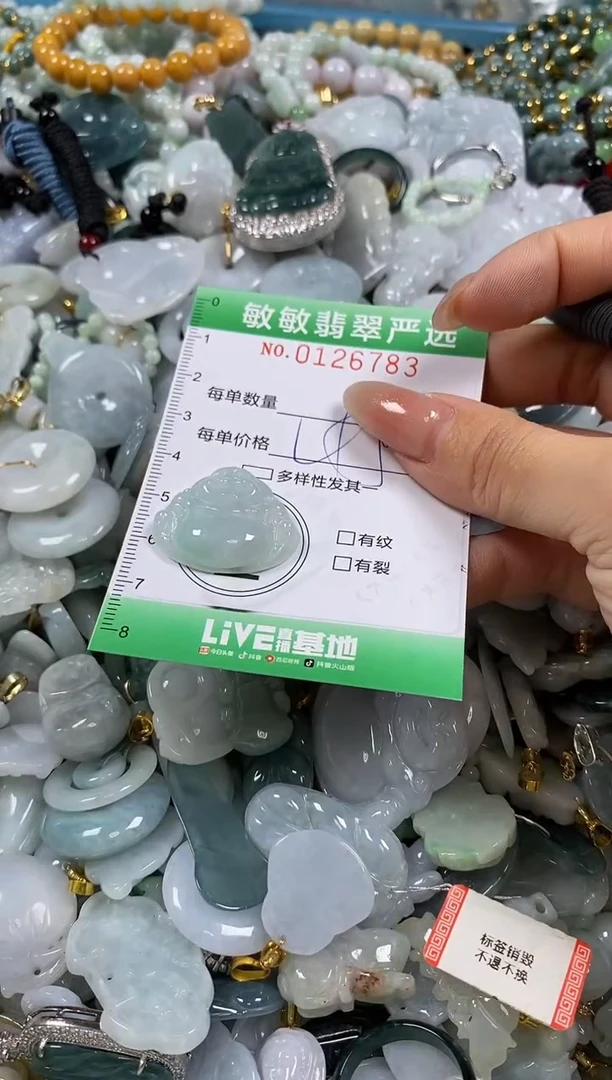 【闪购商品】翡翠颈饰未镶嵌闪购0126783