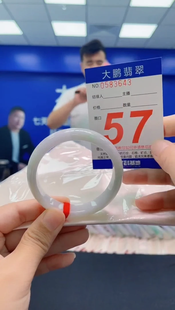 未镶嵌手镯翡翠AAAAAAAAA