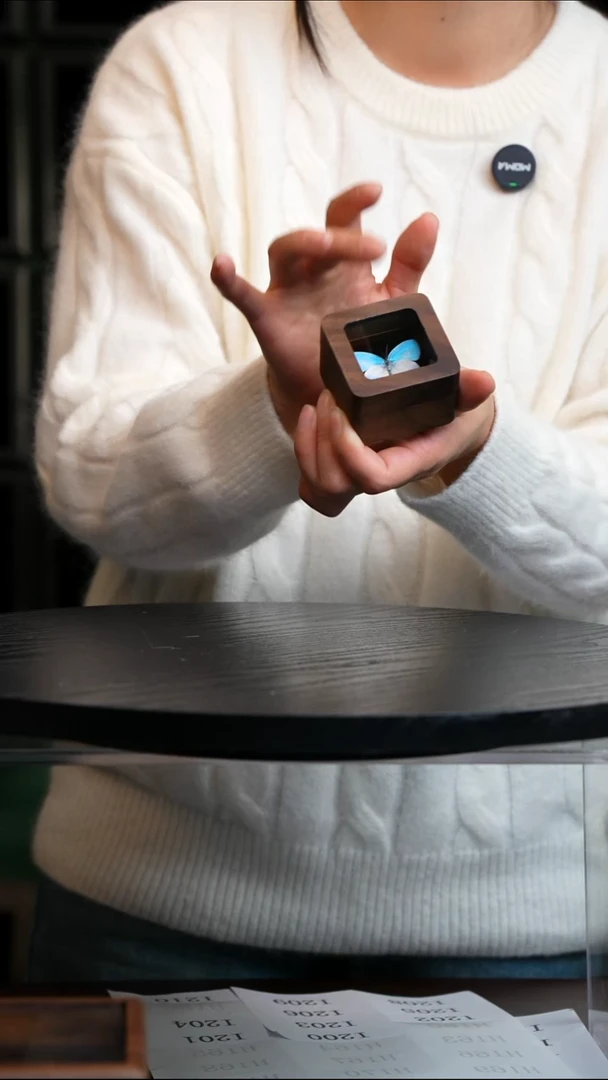 天空蓝优雅灰蝶胡桃木盒子