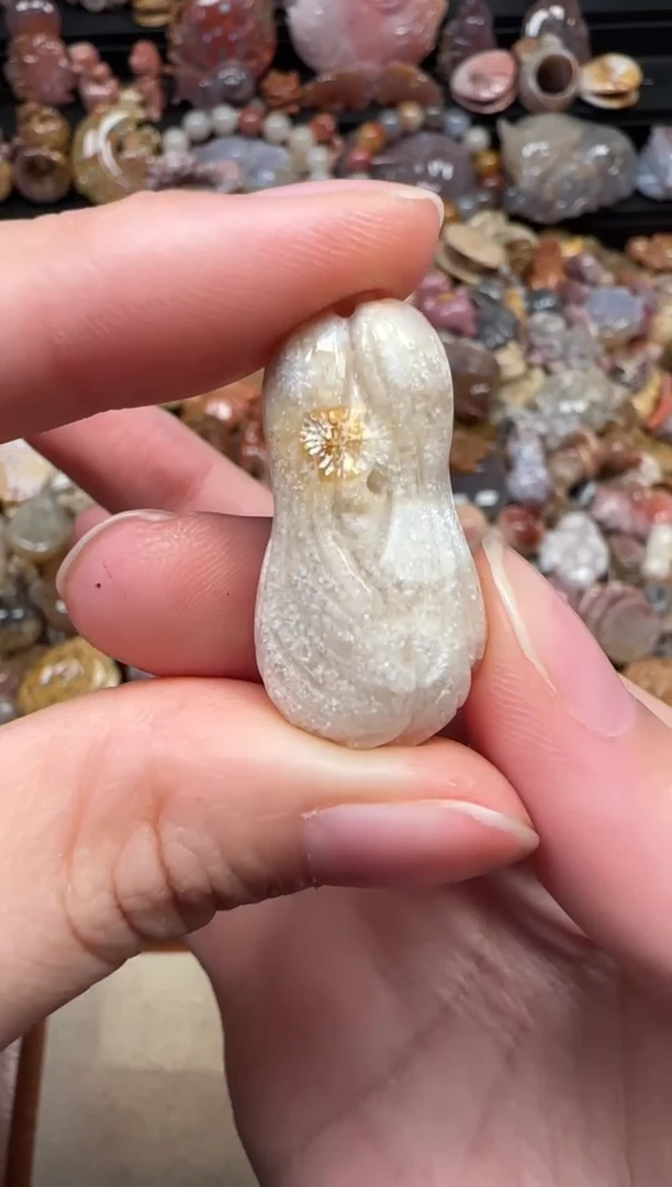 颈饰未镶嵌硅化珊瑚（珊瑚玉）781