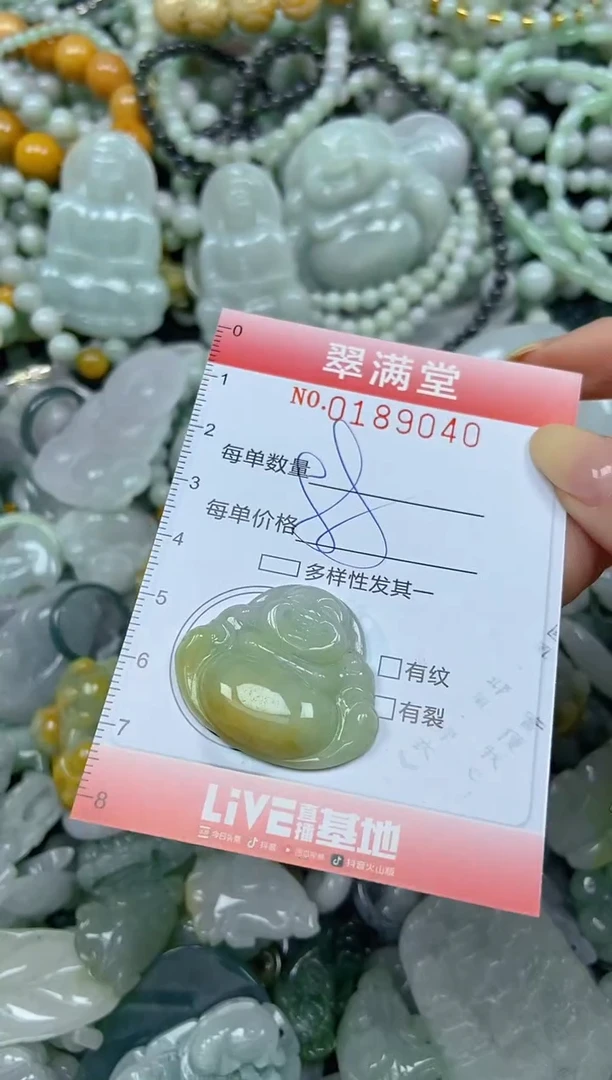 颈饰未镶嵌翡翠闪购0189040