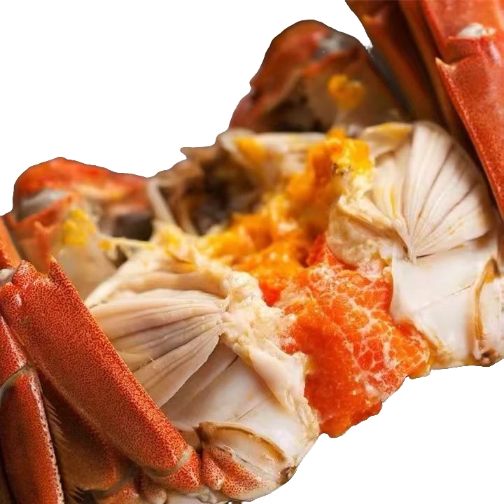 河蟹保活24只正宗河蟹鲜活到家稻田蟹