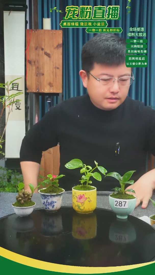 无花朵往****～苔藓微景观287号