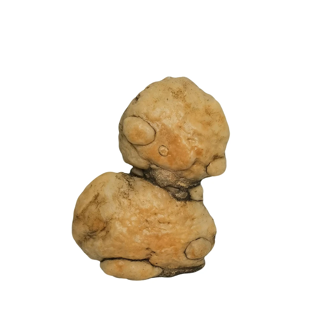 阿拉善盆景石装饰盆景一物一拍