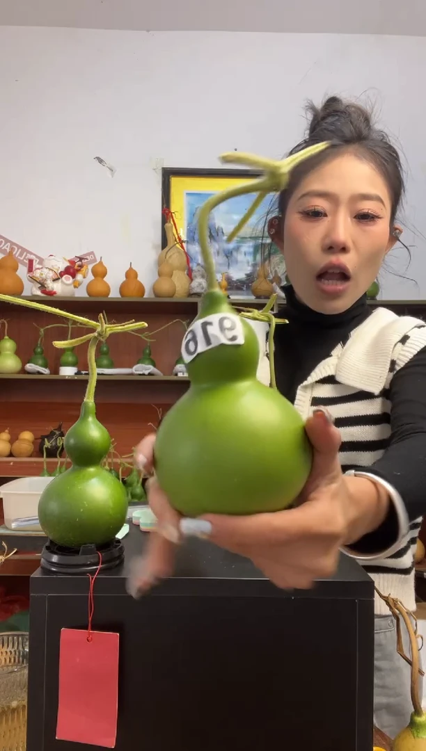 三*子916天然葫芦摆件 一物一拍龙头不保售后