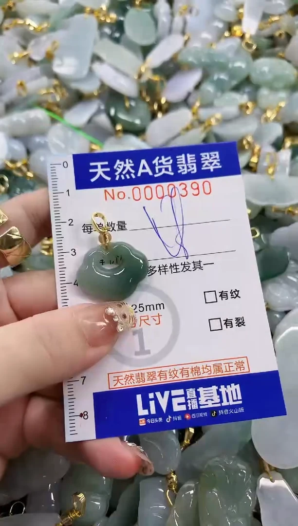 颈饰未镶嵌翡翠天然A货翡翠