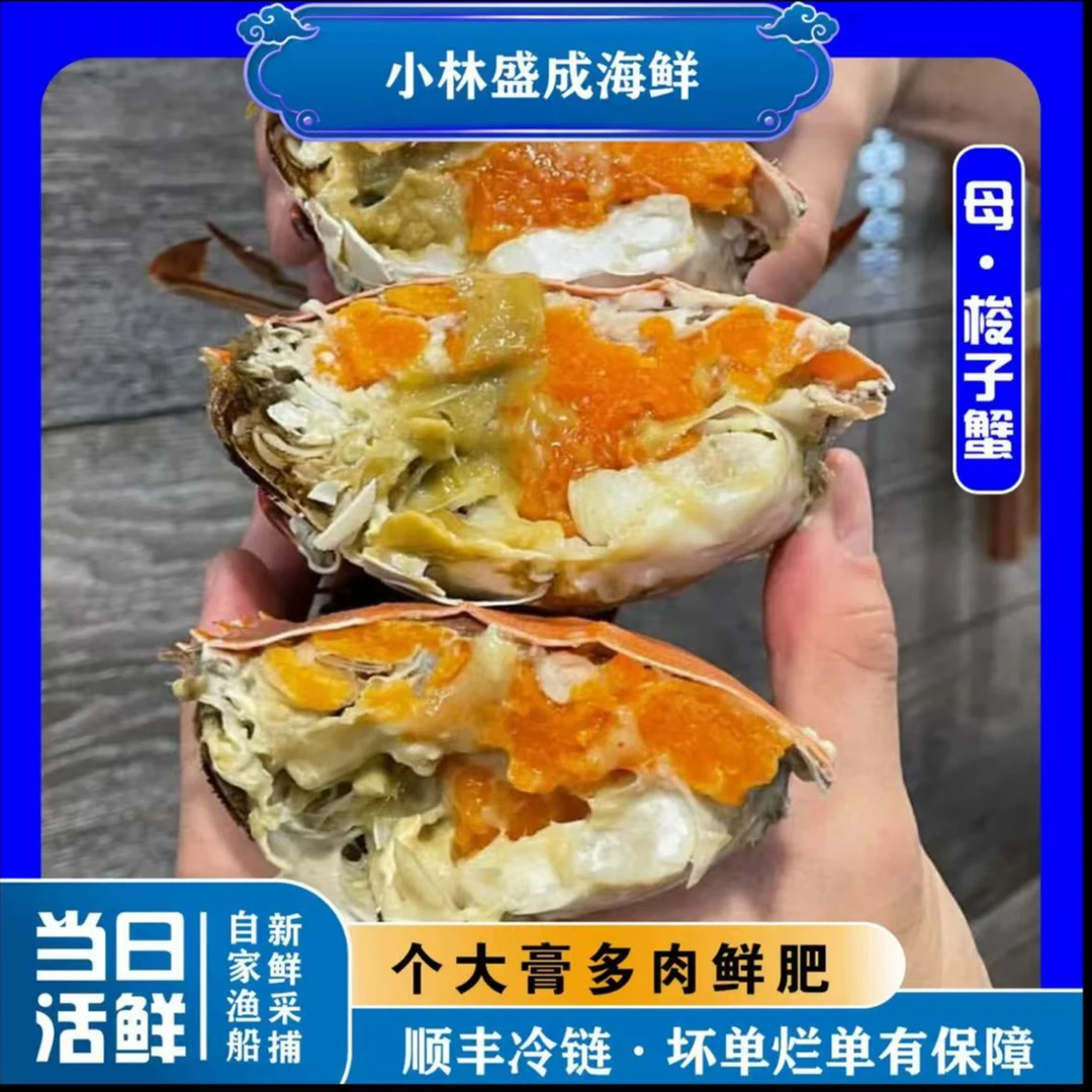 【小林盛成】三点黄母飞蟹梭子蟹2-7两/只 顺丰直发2斤【保鲜不保活】