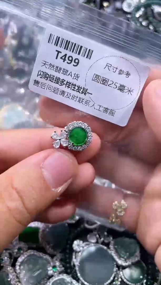 【闪购商品】翡翠颈饰未镶嵌T499吊坠