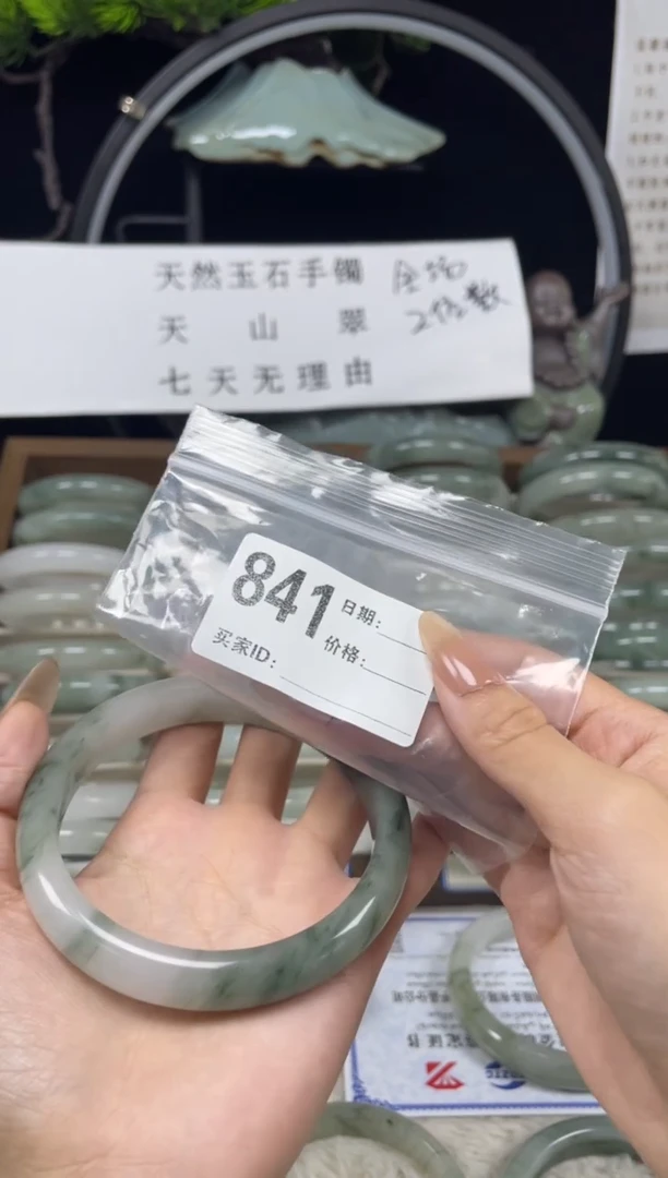 未镶嵌手镯石英质玉（天山翠）841