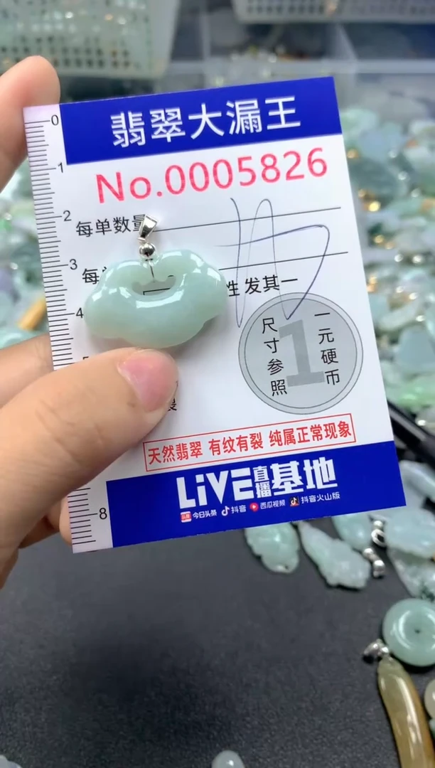 颈饰未镶嵌翡翠5826