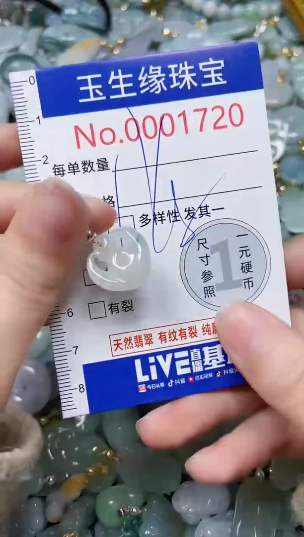 【闪购商品】翡翠颈饰未镶嵌闪购00001720