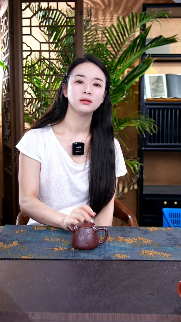 茶壶紫砂12宜兴紫砂壶惊喜