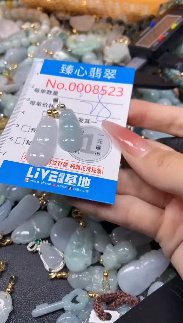 【闪购商品】翡翠颈饰未镶嵌含绳0008523