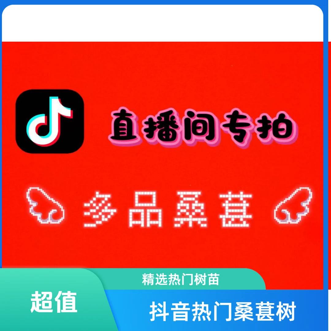 桑葚树果苗南北方四季可种植适合盆栽地栽