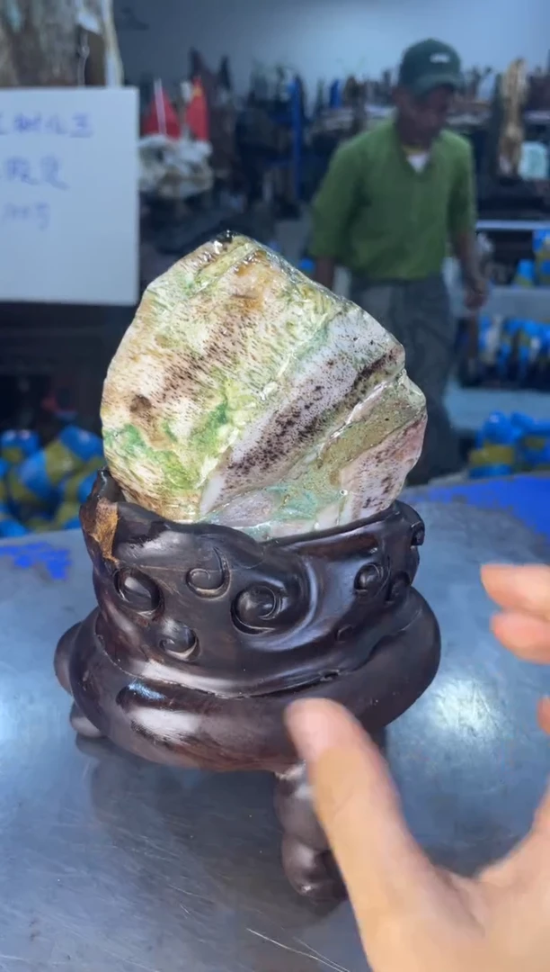 未镶嵌摆件硅化玉31