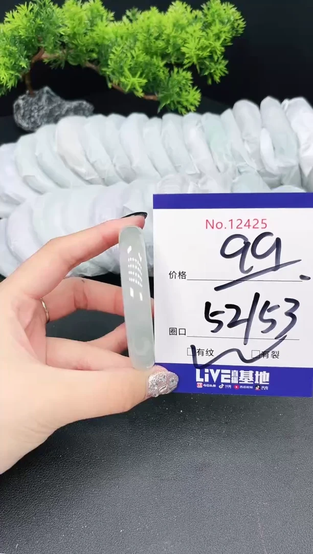 未镶嵌手镯翡翠12425