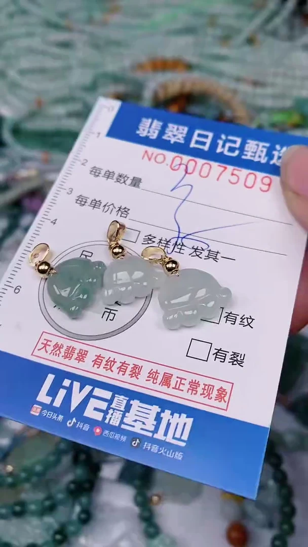 【闪购商品】翡翠颈饰未镶嵌00007509