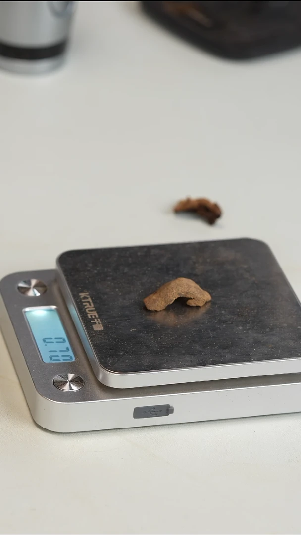 沉香沉香碎屑香港鸡母虫 0.7g