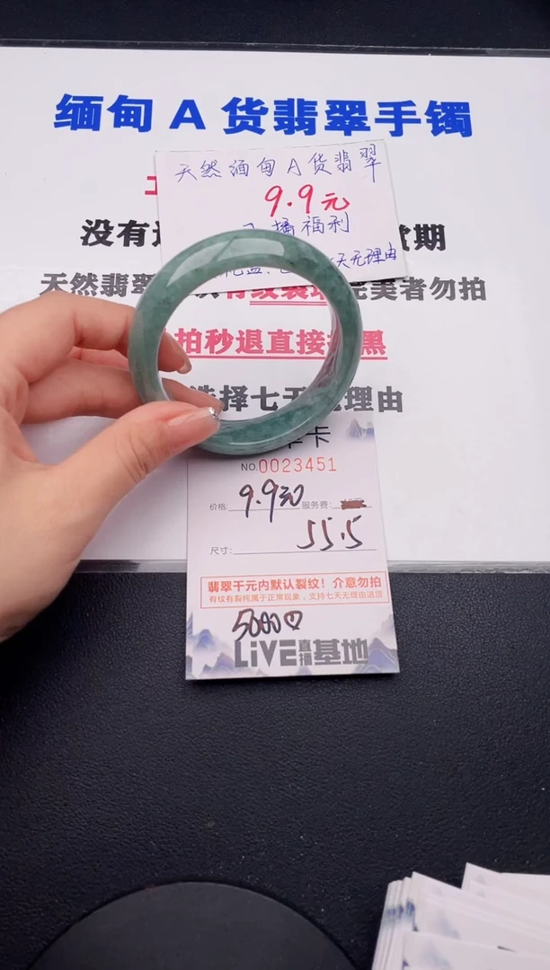 未镶嵌手镯翡翠51